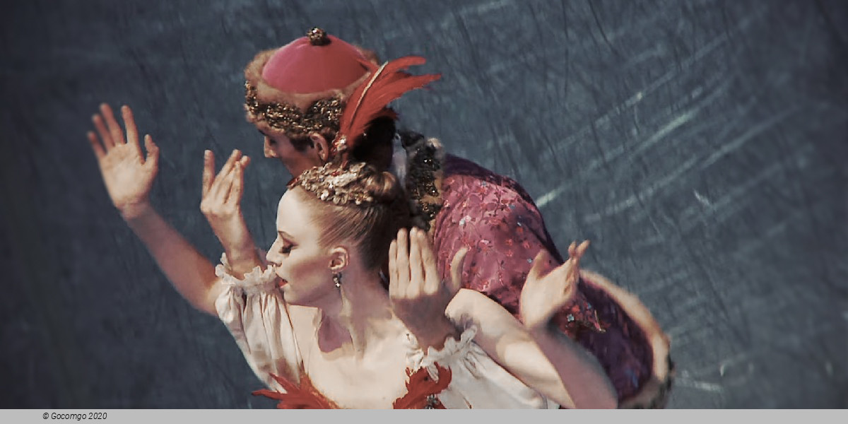 Scene 2 from the ballet "The Firebird", photo 2