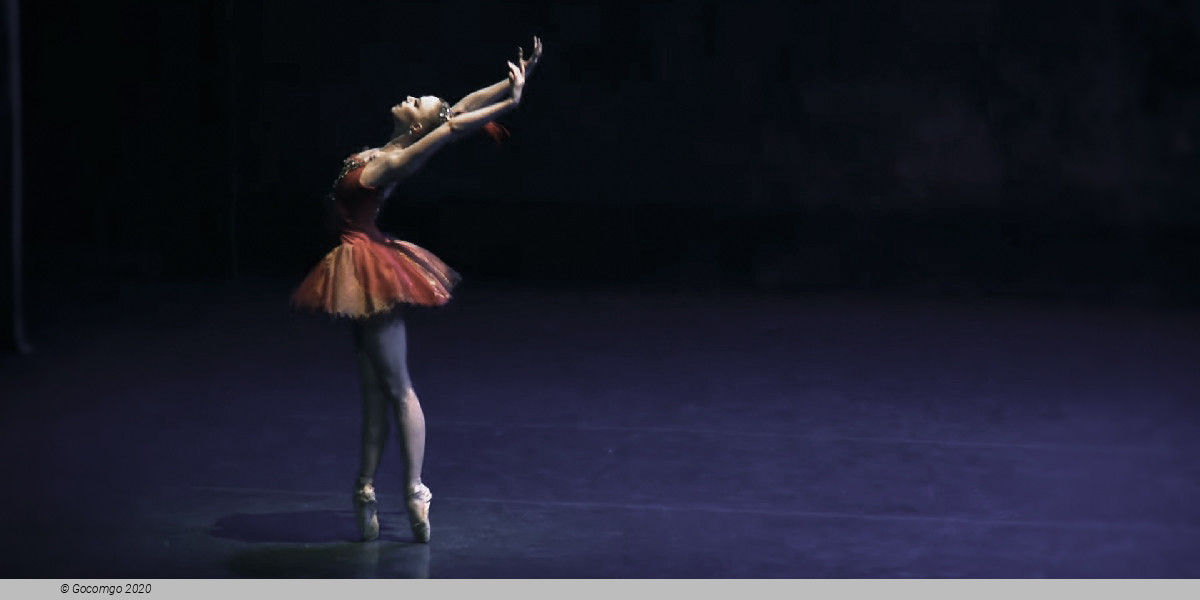 Scene 5 from the ballet "The Firebird", photo 5