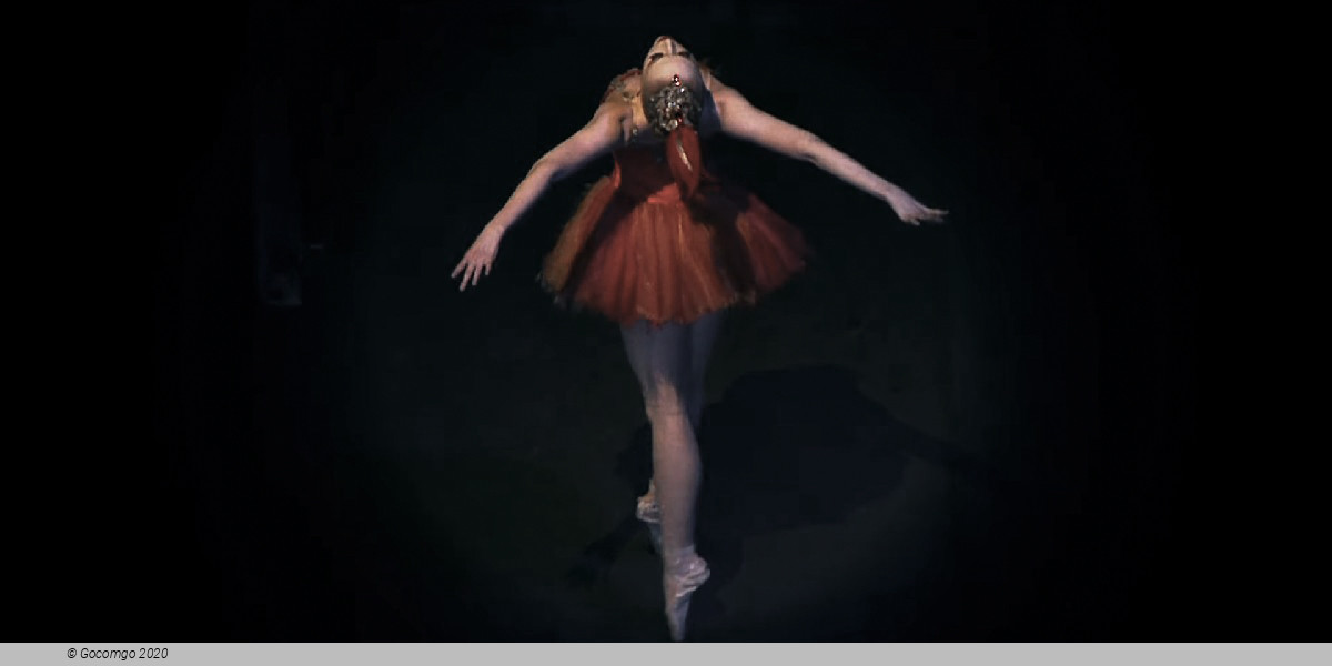 Scene 6 from the ballet "The Firebird", photo 7