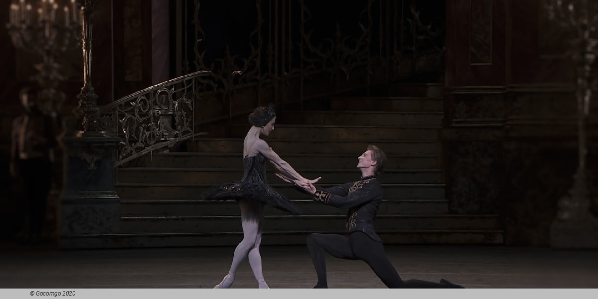 Scene 1 from the ballet "Swan Lake", photo 9