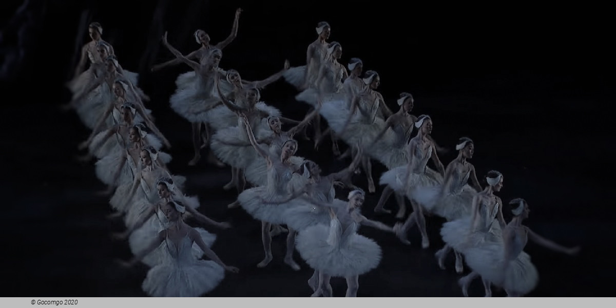 Scene 5 from the ballet "Swan Lake", photo 11