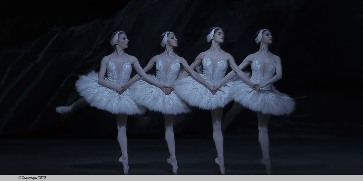 Scene 6 from the ballet "Swan Lake", photo 12