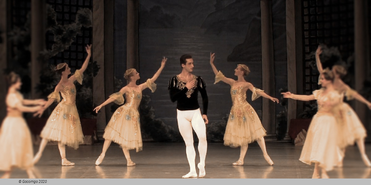 Scene 7 from the ballet "Swan Lake", photo 14