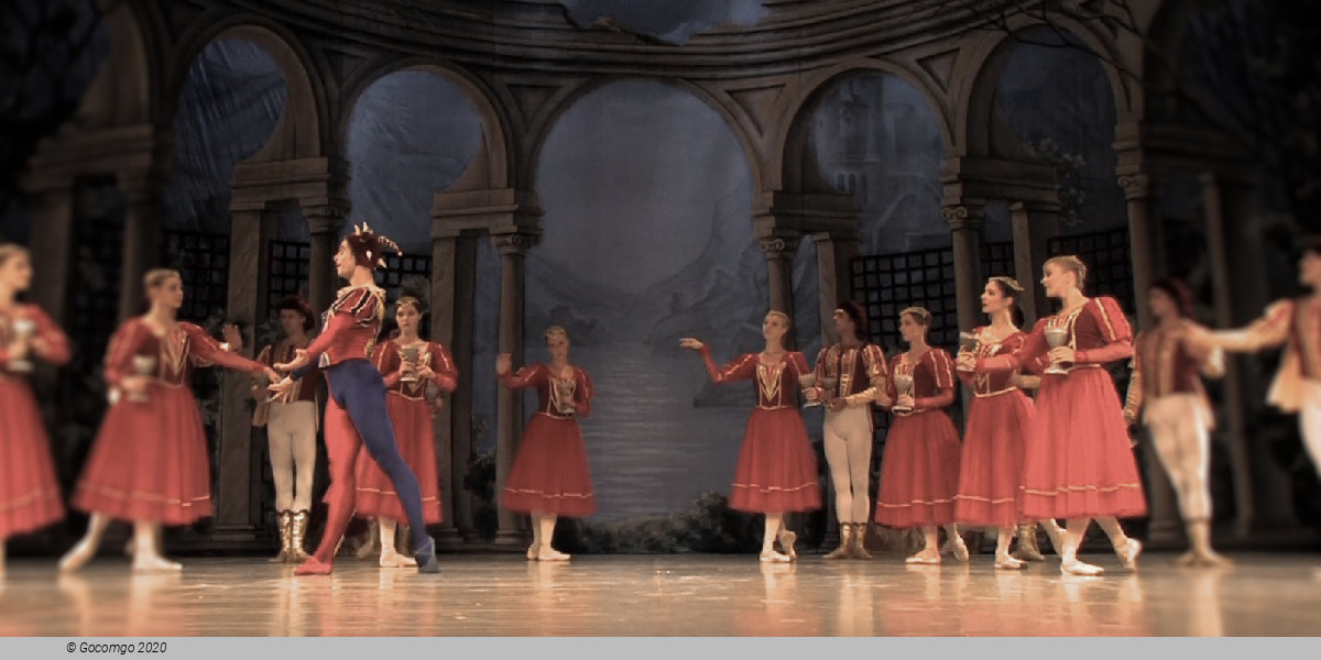 Scene 8 from the ballet "Swan Lake", photo 15