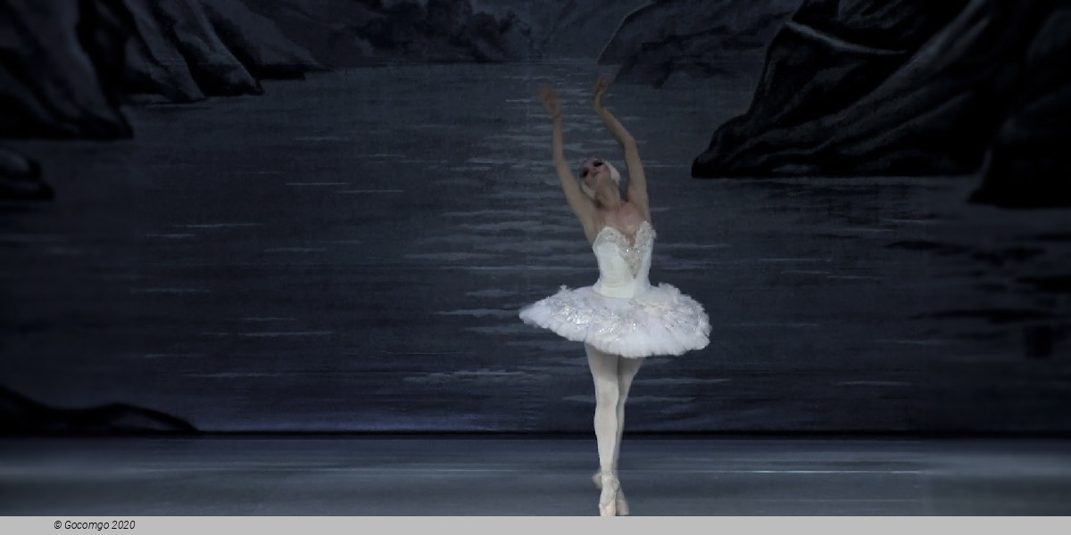 Scene 10 from the ballet "Swan Lake", photo 16