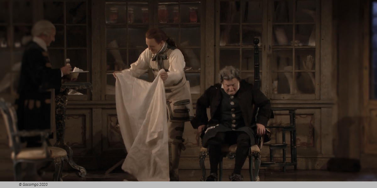 Scene 7 from the opera "The Barber of Seville", photo 7