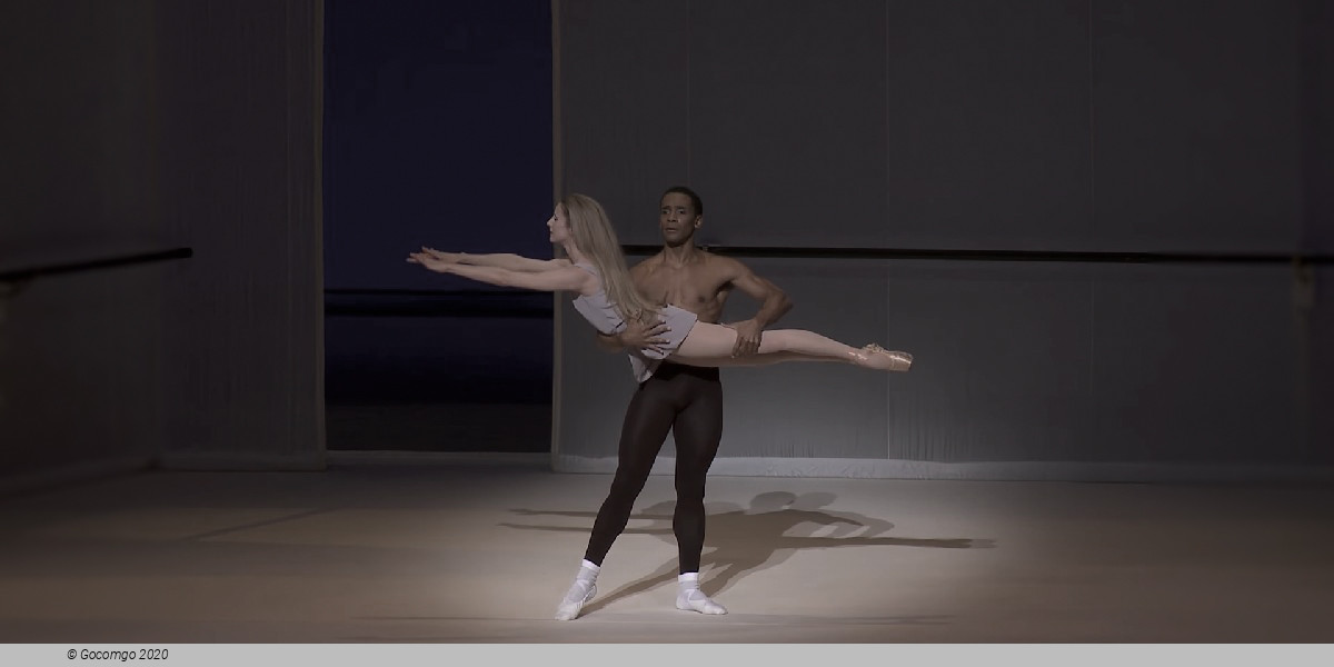 Scene 3 from the ballet "L'Après-midi d'un faune", photo 3