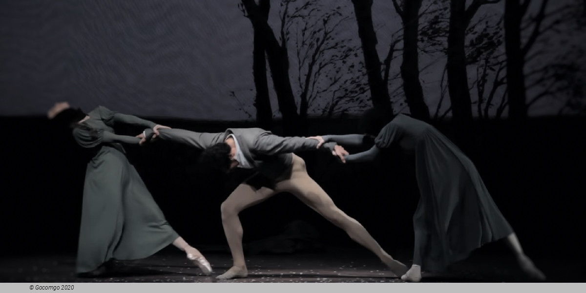 Scene 7 from the ballet "Onegin", photo 7