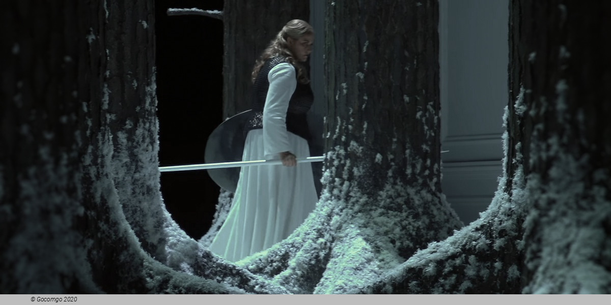 Scene 10 from the opera "Die Walküre", photo 2