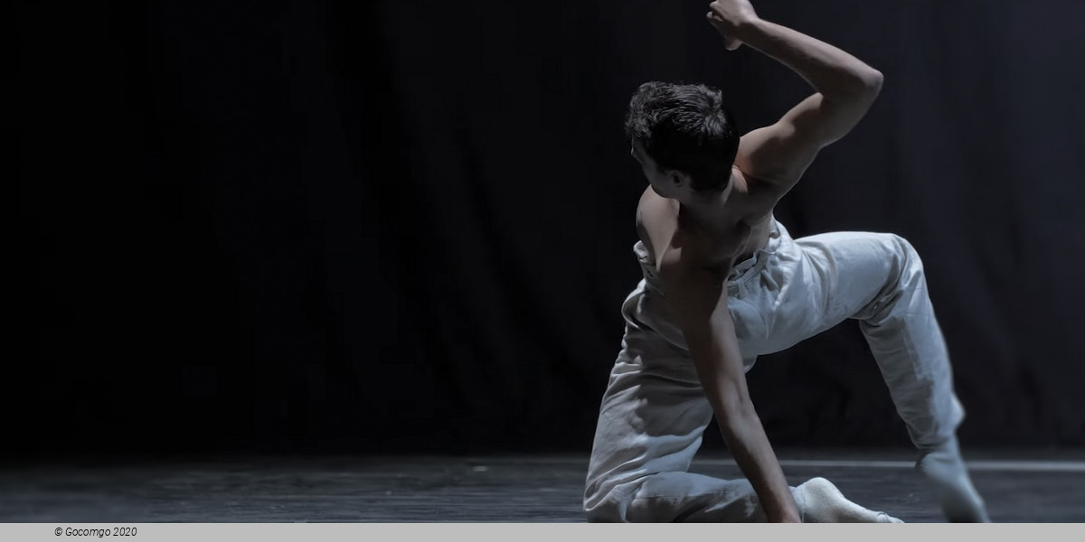 Scene 1 from the modern ballet "Gods and Dogs", photo 3