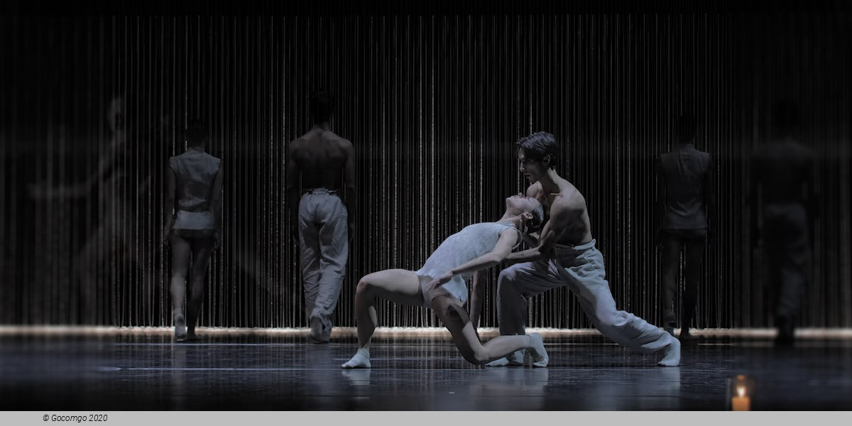 Scene 3 from the modern ballet "Gods and Dogs", photo 5
