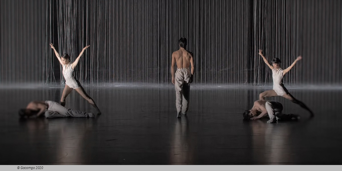 Scene 4 from the modern ballet "Gods and Dogs", photo 6