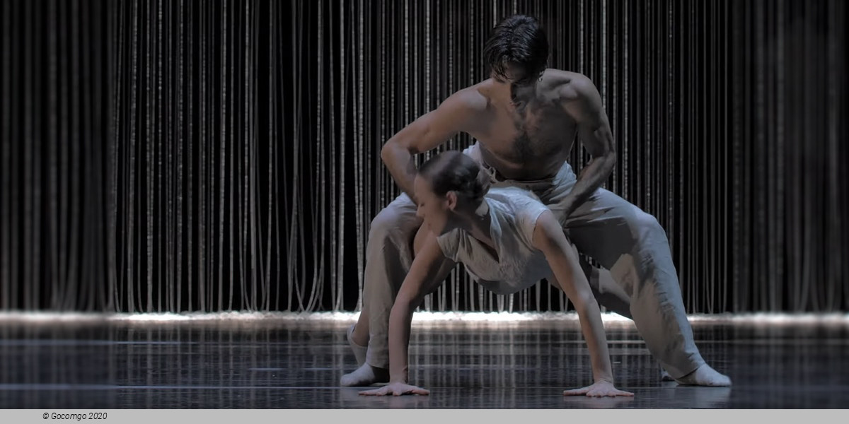 Scene 5 from the modern ballet "Gods and Dogs", photo 2