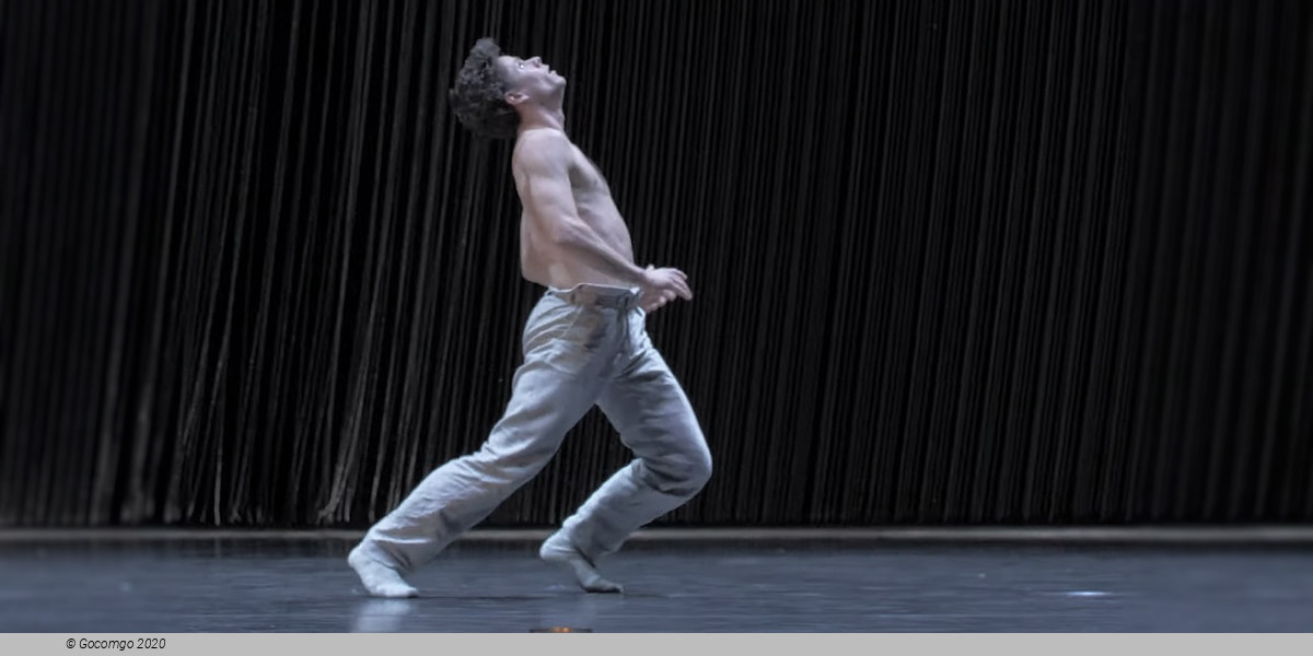 Scene 6 from the modern ballet "Gods and Dogs", photo 7