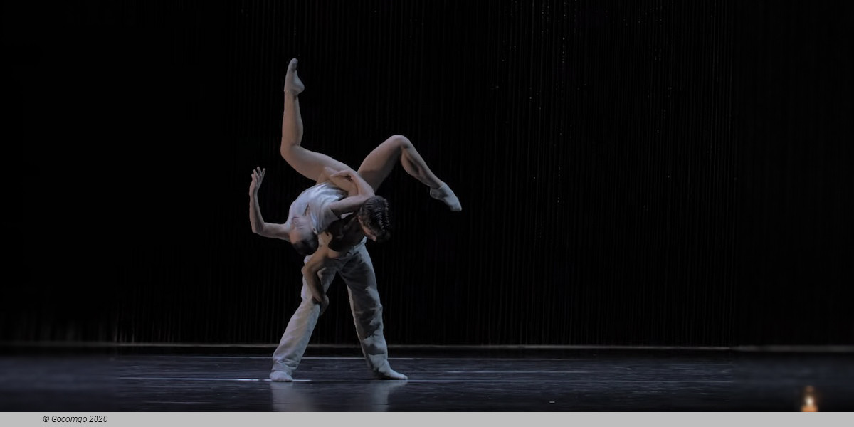 Scene 7 from the modern ballet "Gods and Dogs", photo 8