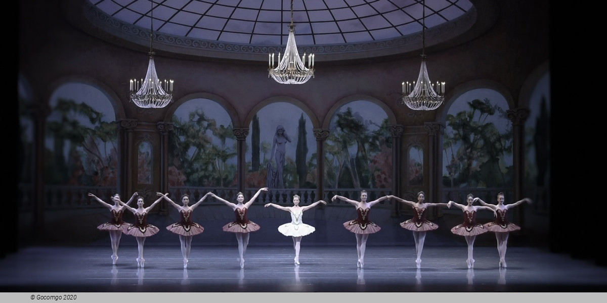 Theme and Variations, photo 5